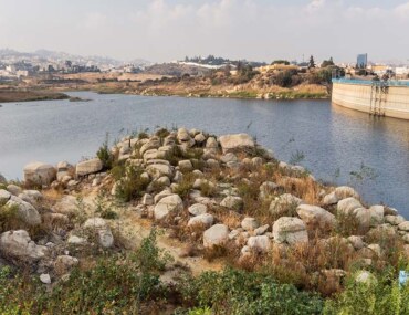 سد أبها