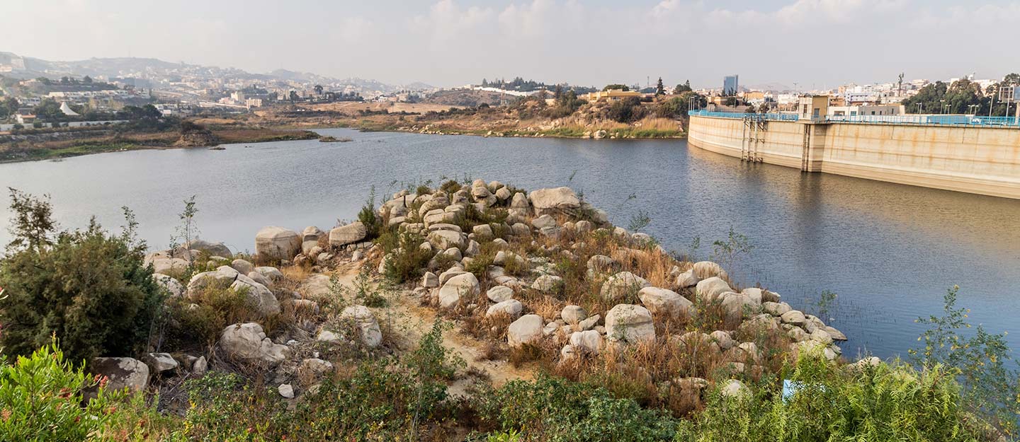 سد أبها