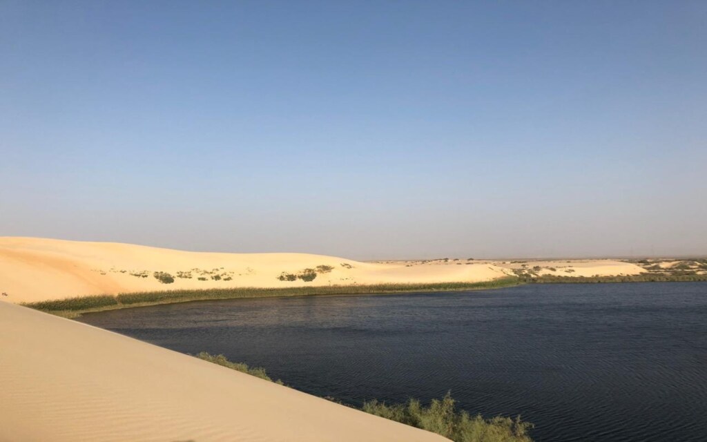 صحراء الجافورة في السعودية