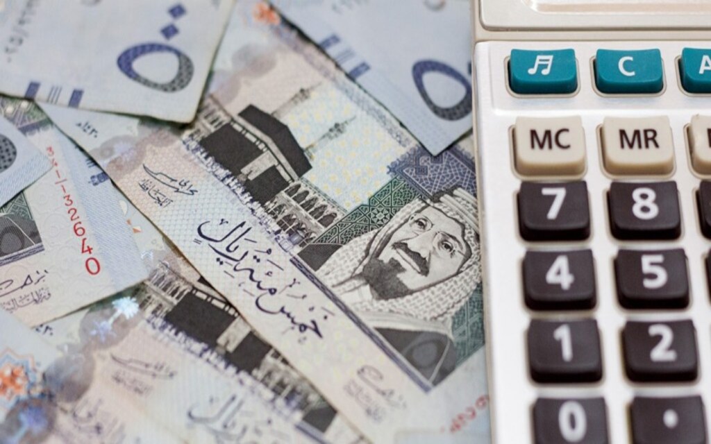 الضمانات والعوائد الاستثمارية