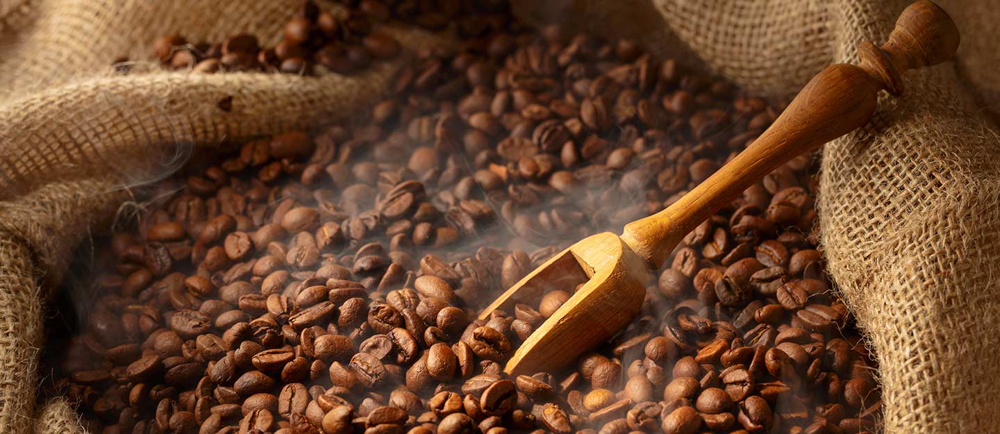 مشروع خبير القهوة السعودية