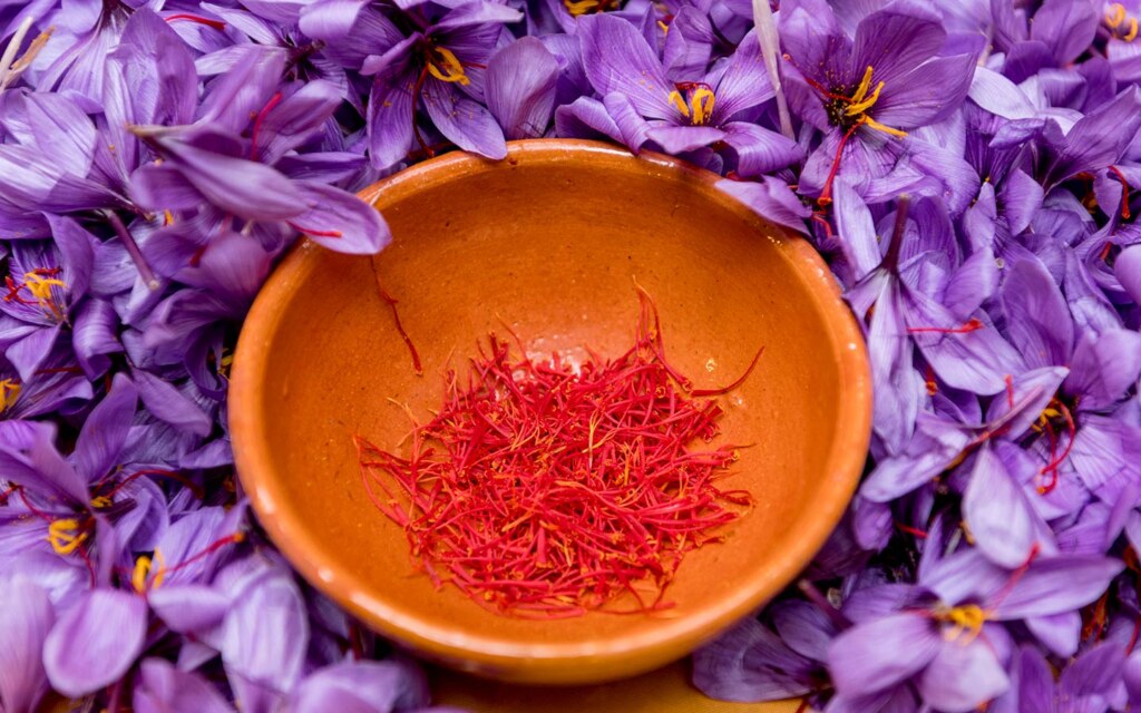 نبات الزعفران