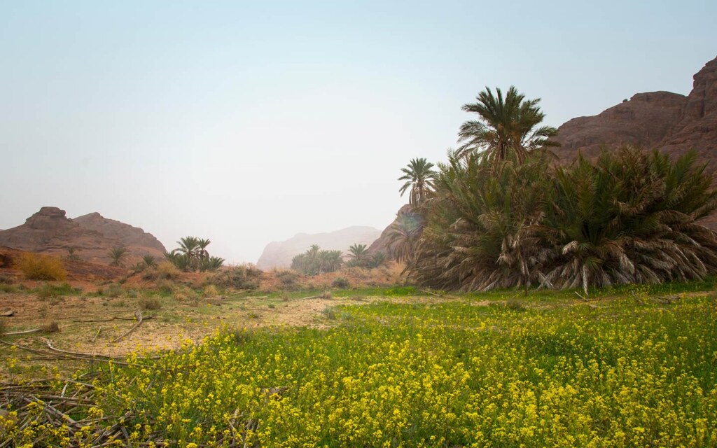 What are the main investment sectors in Hail?