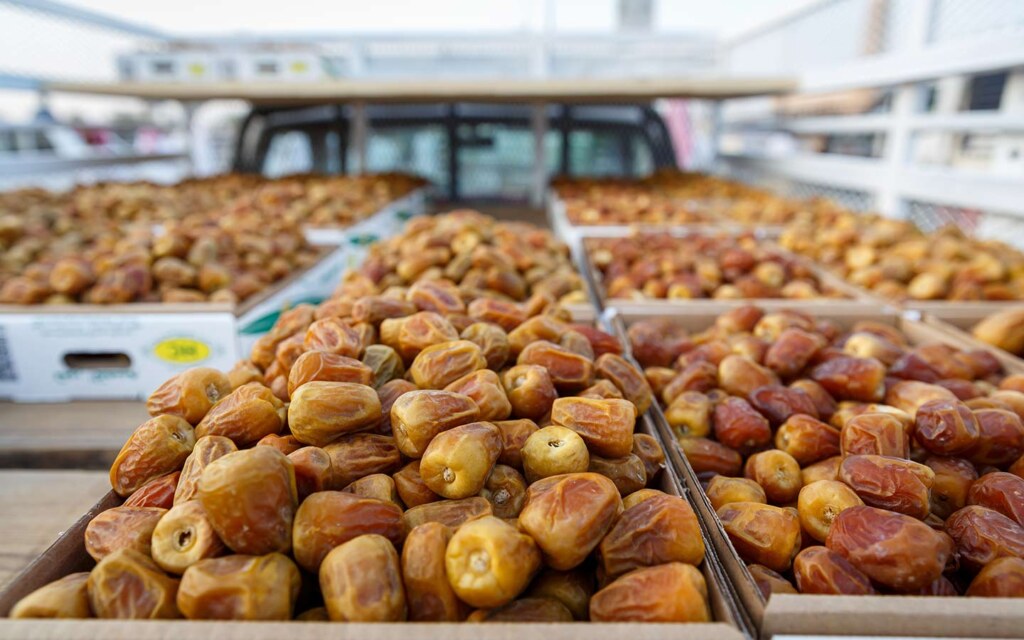 تمور السعودية