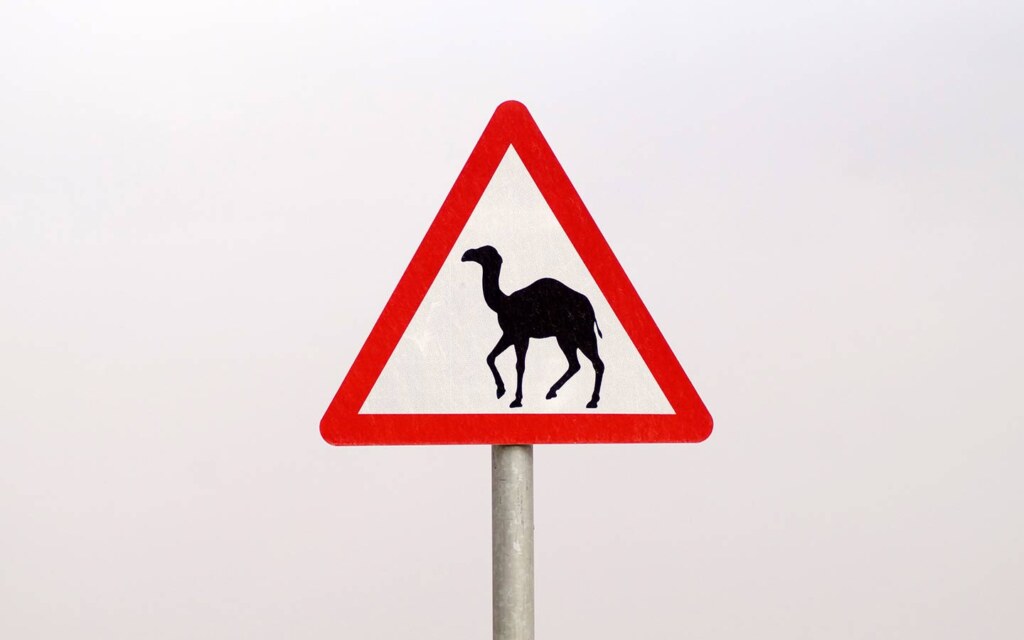 معجم مصطلحات الطرق