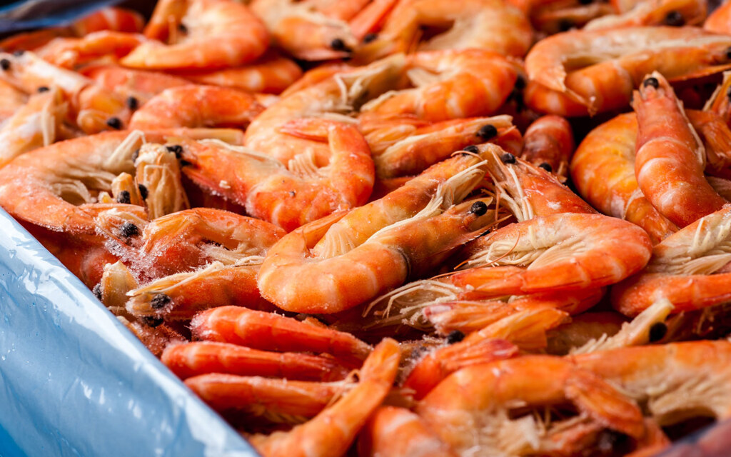 قطاع الثروة السمكية في السعودية