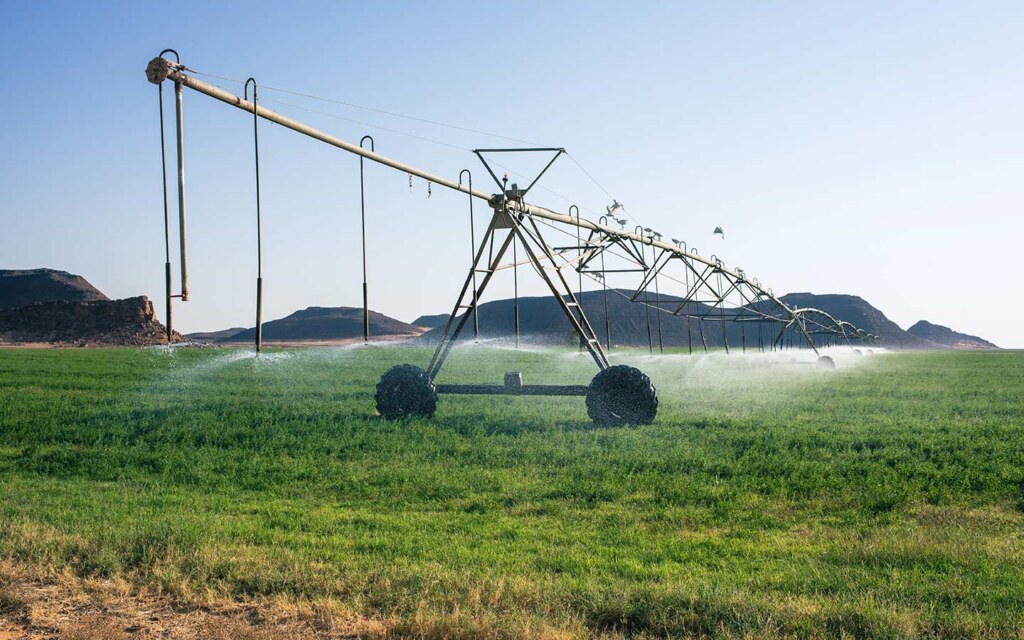 What Is the Saudi Agricultural Investment Company?