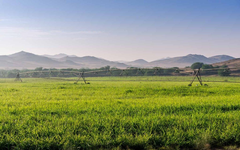 أراضي زراعية في السعودية