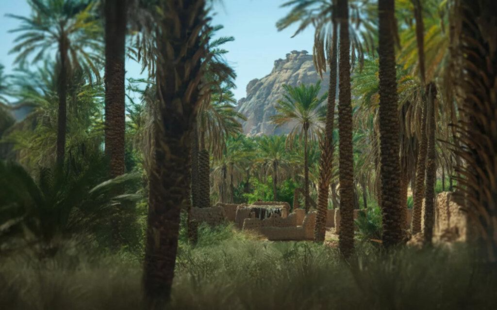 فعاليات مهرجان نبض العلا