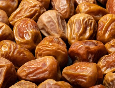 مشروع تجارة التمور