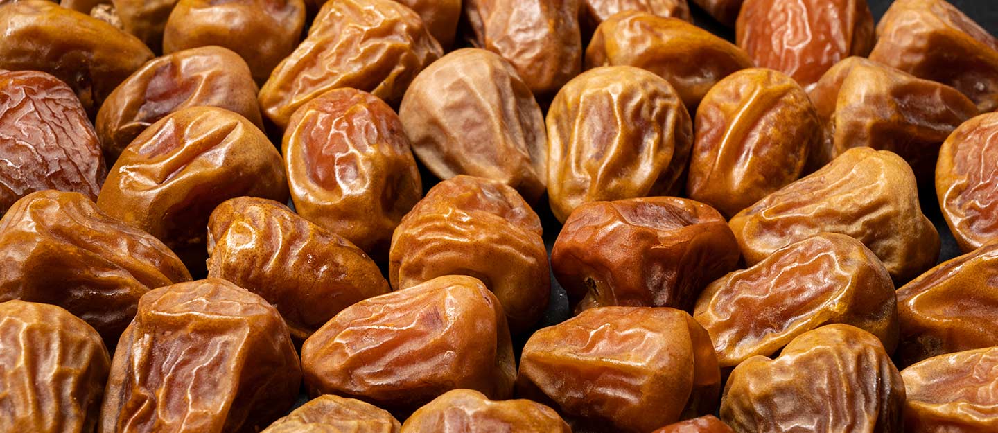 مشروع تجارة التمور