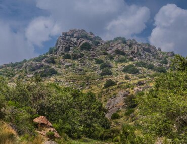 Combating Climate Change in Saudi Arabia