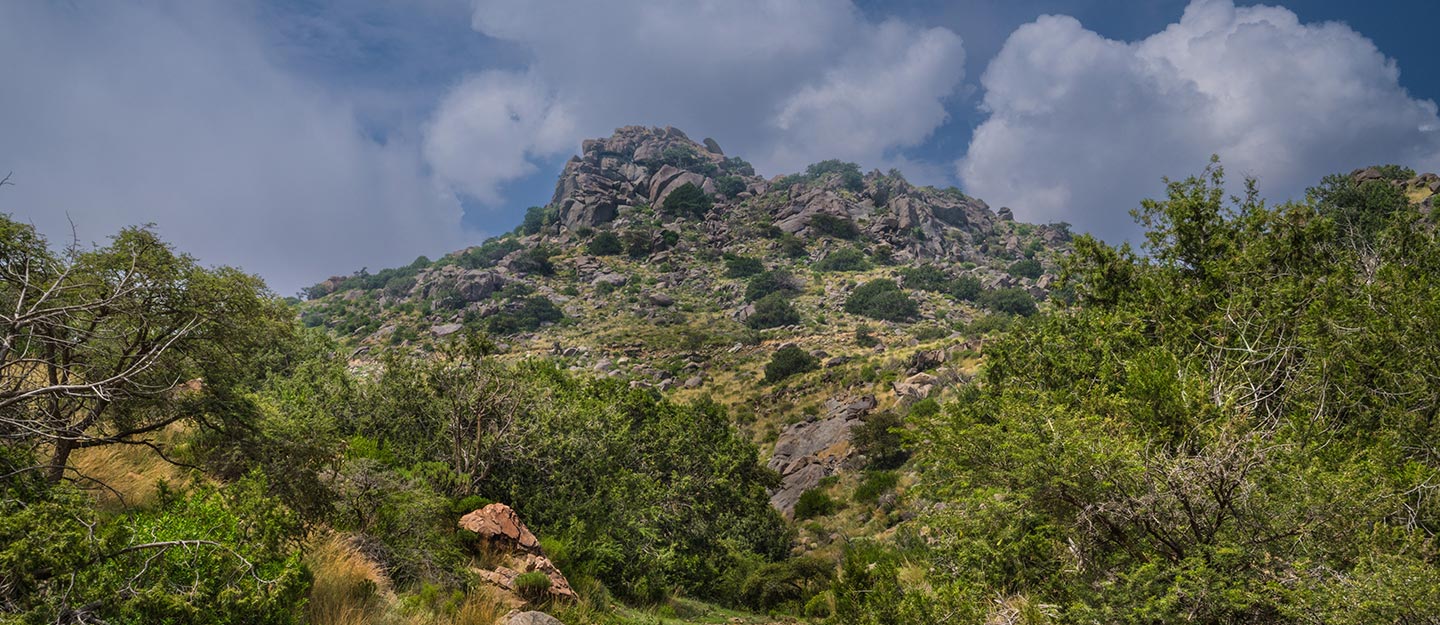 Combating Climate Change in Saudi Arabia