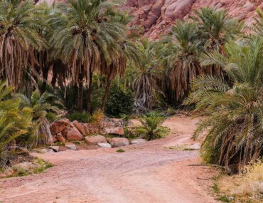 Investment Sectors in Hail