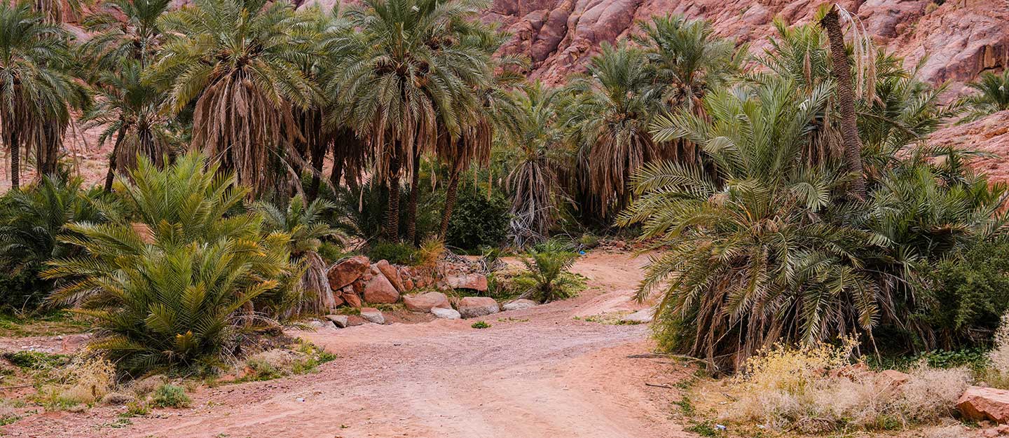 Investment Sectors in Hail