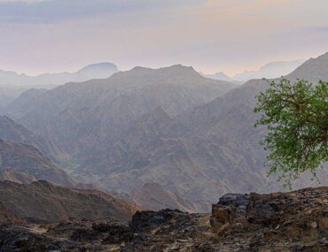 Investment in Natural Parks in Najran