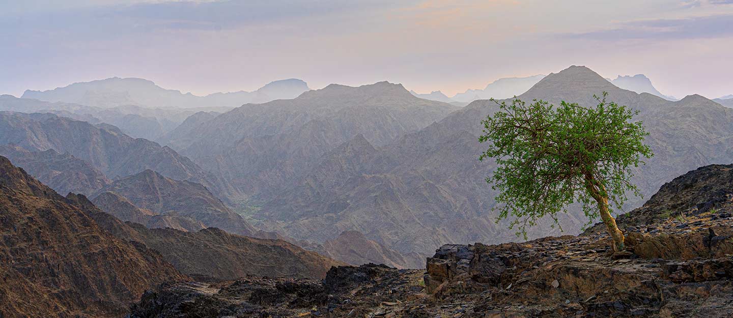 Investment in Natural Parks in Najran