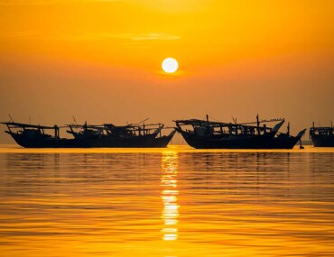 Districts of Qatif for Investment