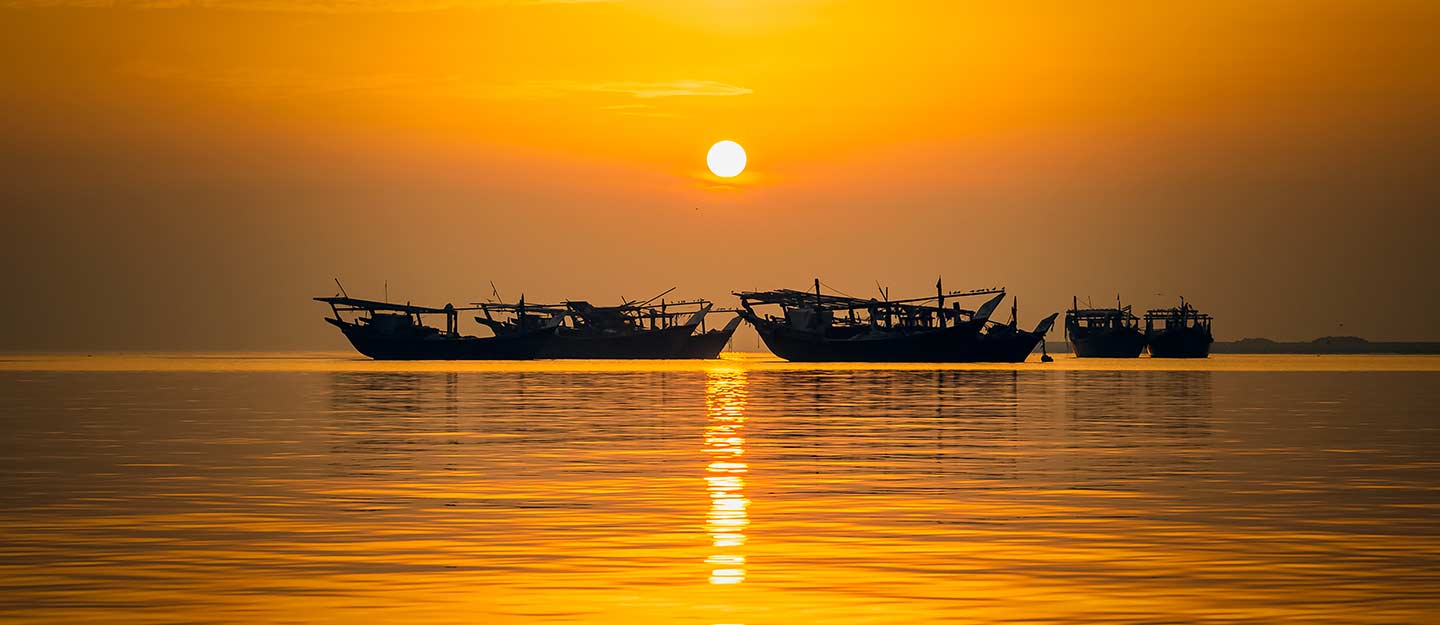 Districts of Qatif for Investment