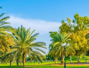 الاستثمار في منتزهات حائل