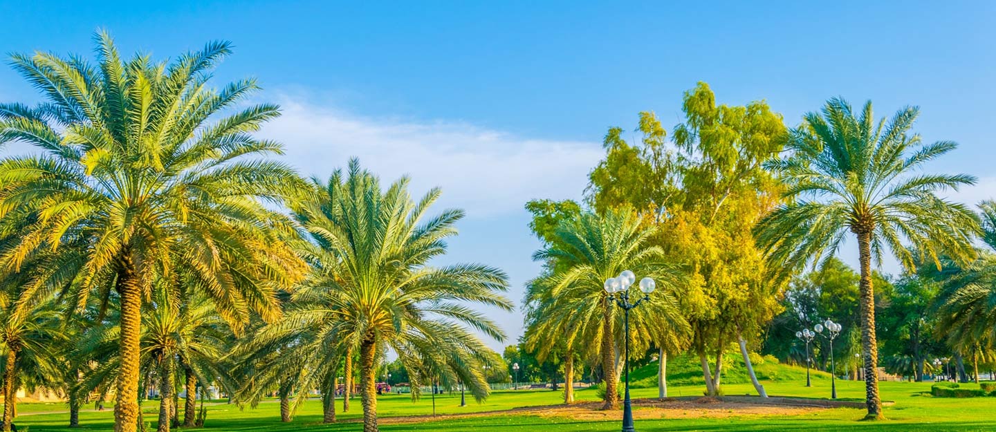 الاستثمار في منتزهات حائل
