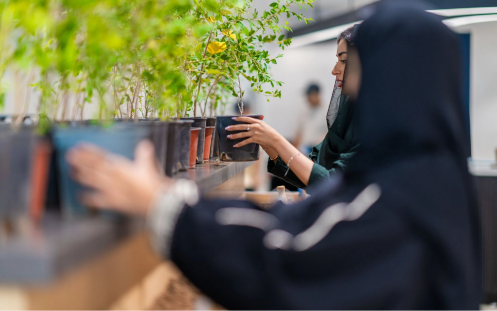 مبادرة السعودية الخضراء