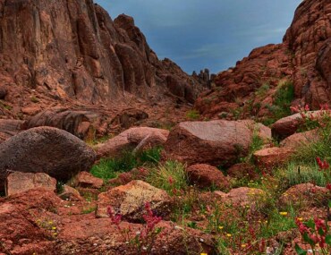 سلمى جيوبارك