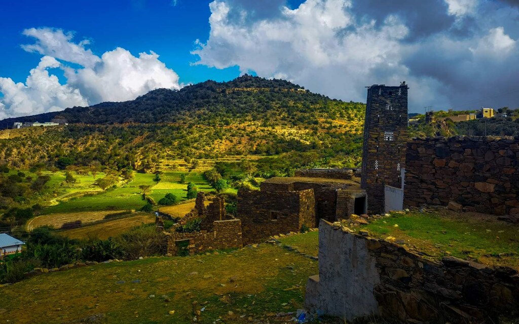 مشاريع عسير