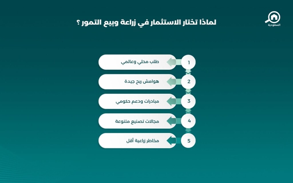 الاستثمار في التمور