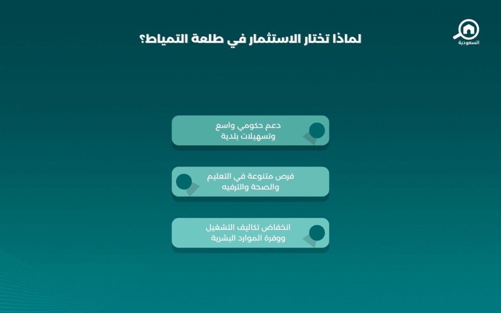 الاستثمار في طلعة التمياط