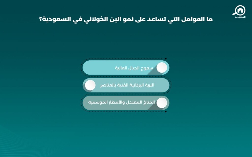 عوامل نمو البن في السعودية