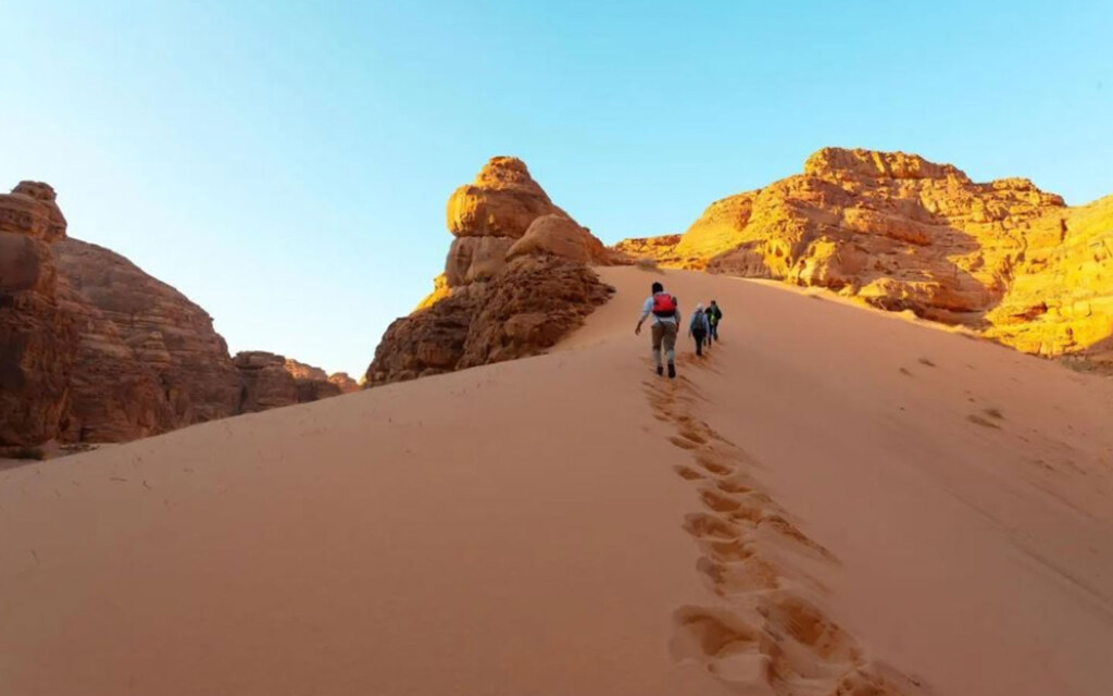 مسار الوادي