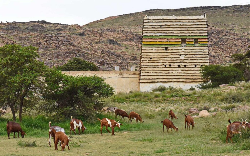 What Is the Most Beautiful Area in Asir?