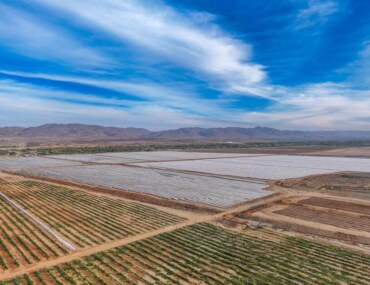 Rural economy in Saudi Arabia