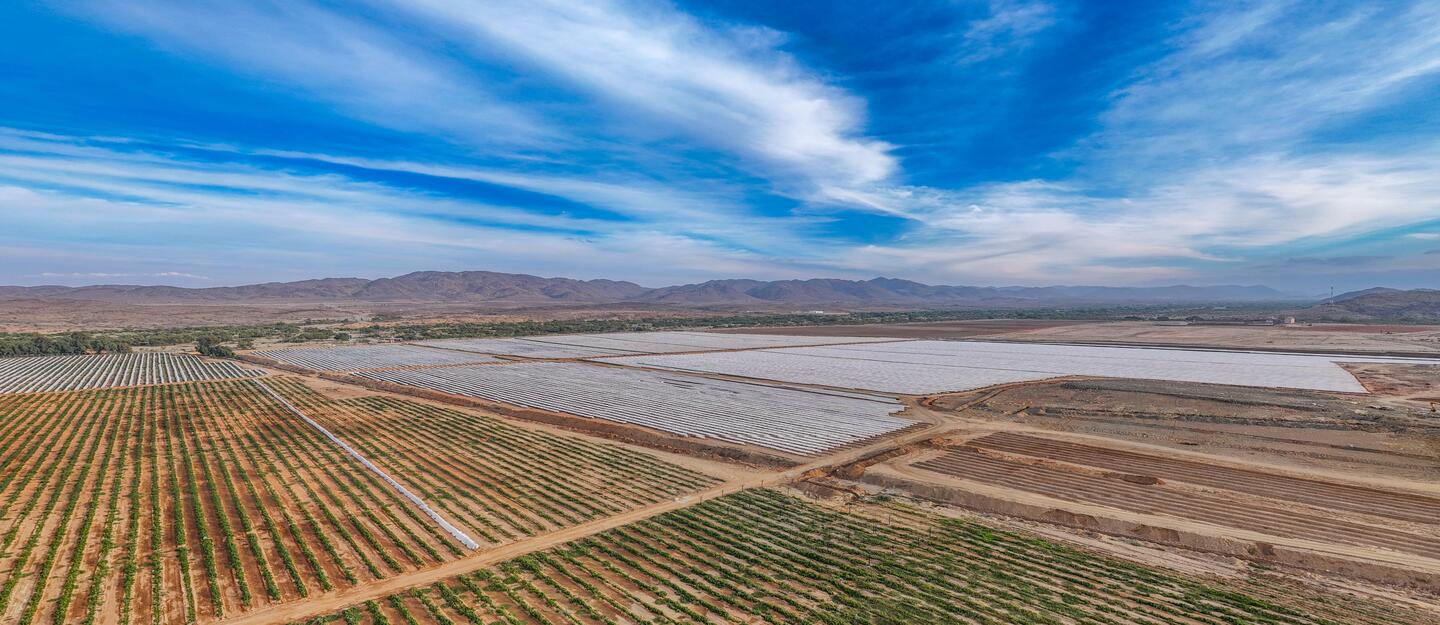 Rural economy in Saudi Arabia