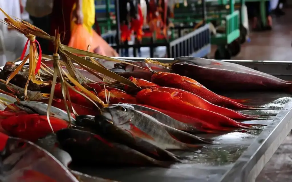 Fish auction in Thuwal