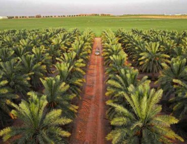 Agrofood Jeddah, KSA