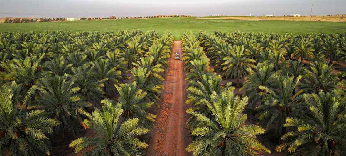 Agrofood Jeddah, KSA