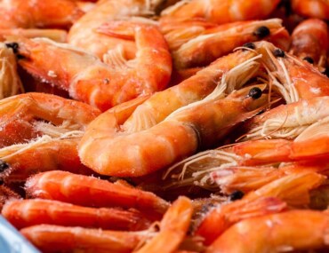 مهرجان روبيان الشرقية