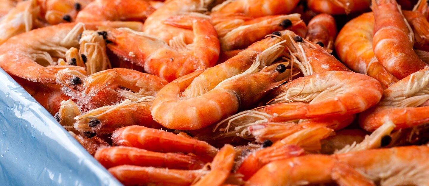 مهرجان روبيان الشرقية