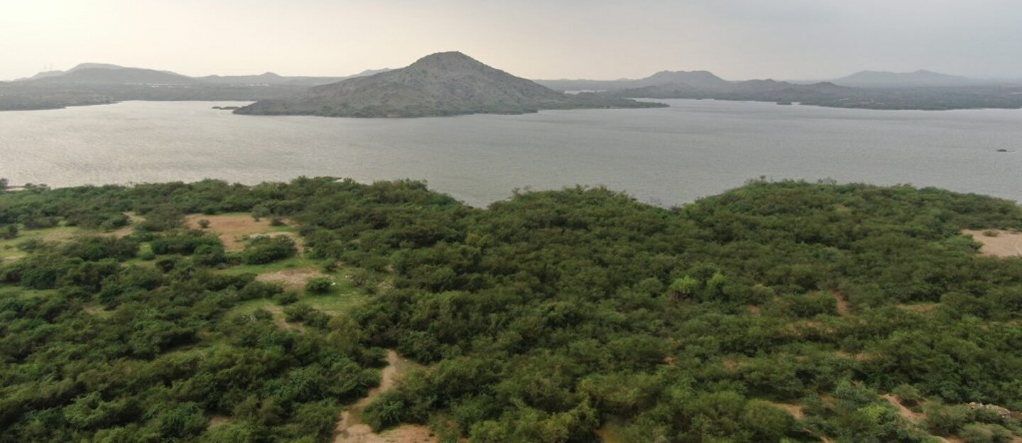 واجهة جيدانة في جازان