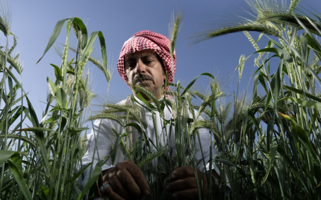 الاقتصاد الريفي في السعودية