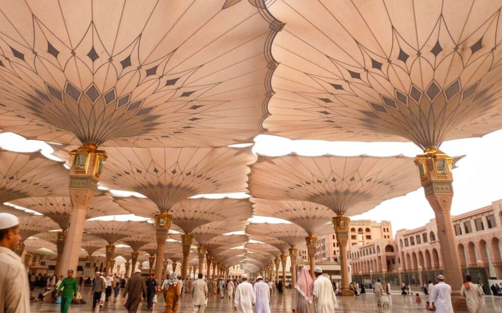 تنظيم الحج وخدمة الحجاج