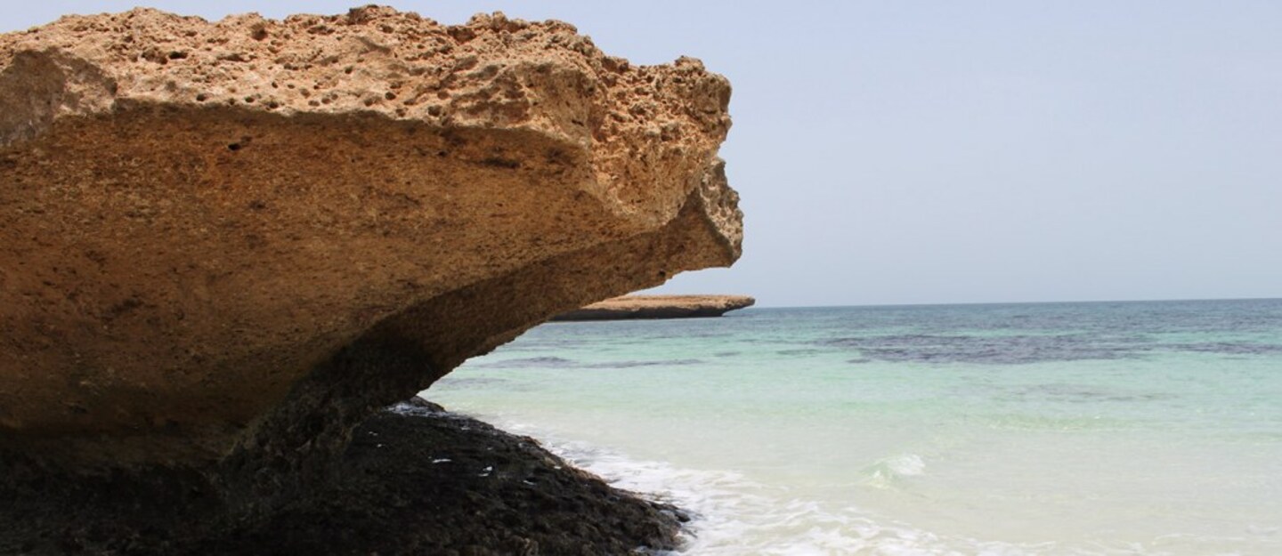 وجهة سفن في جازان