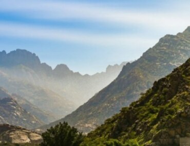 غرفة الطائف