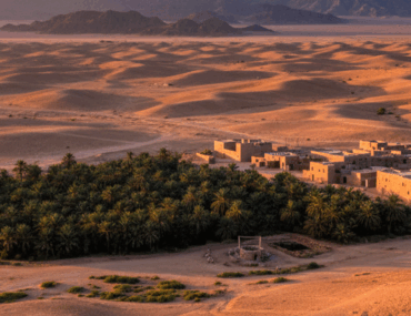 محافظة السليمي