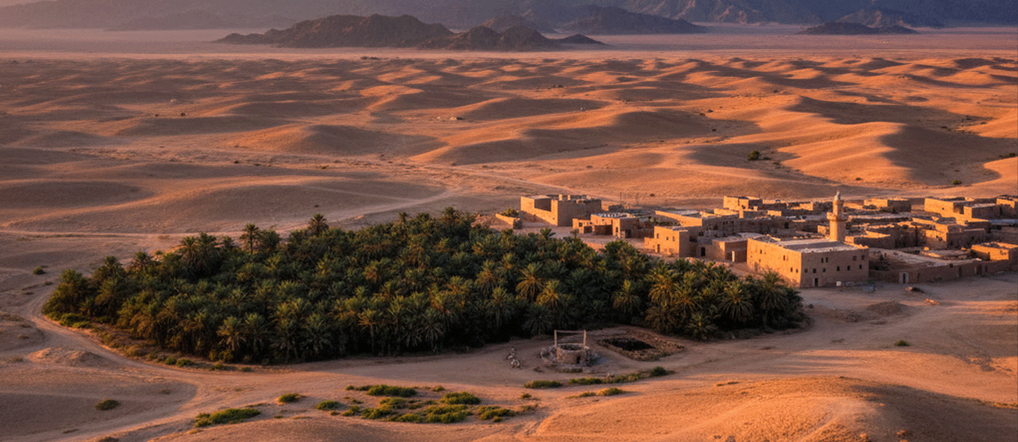 محافظة السليمي