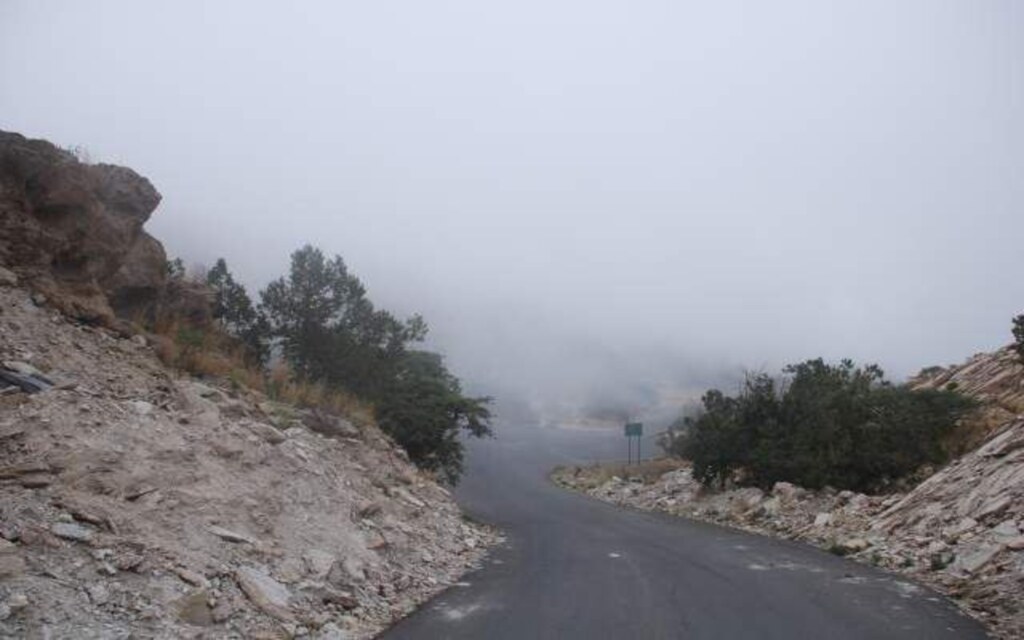 حدائق تنومة