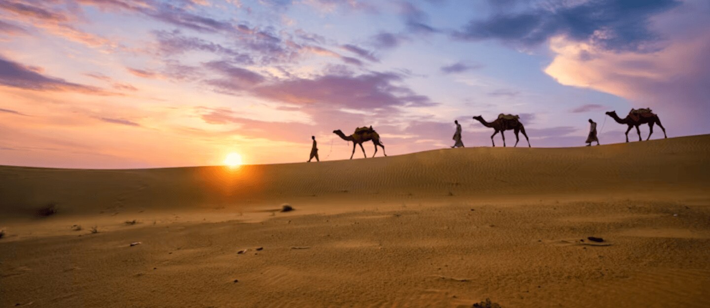 منطقة الصياهد الجنوبية