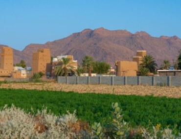 قصبة المضمار